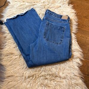 American Eagle Outfitters Stovepipe Blue Jeans